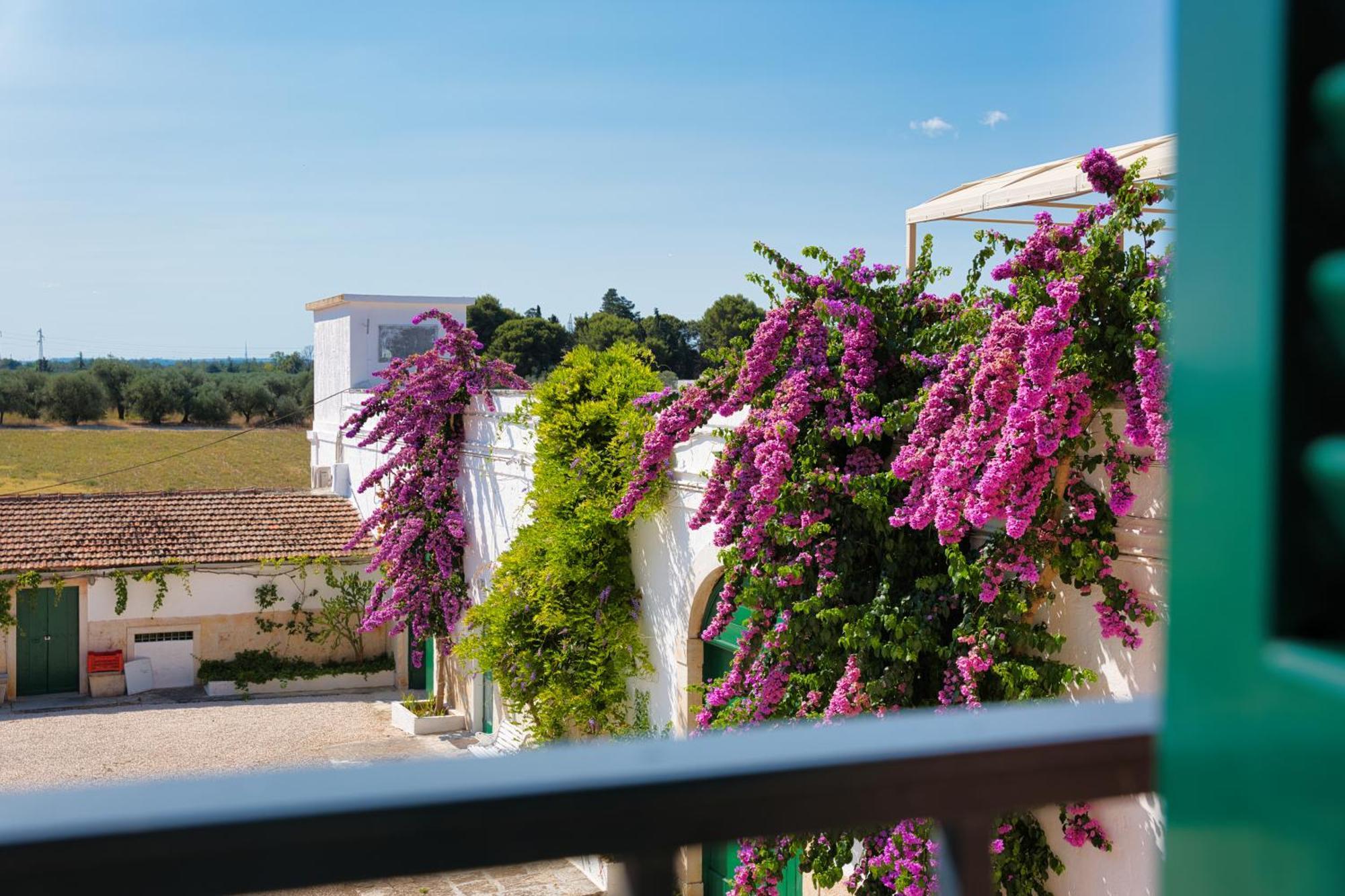 Villa Ceci Dimora Di Storie Andria Buitenkant foto